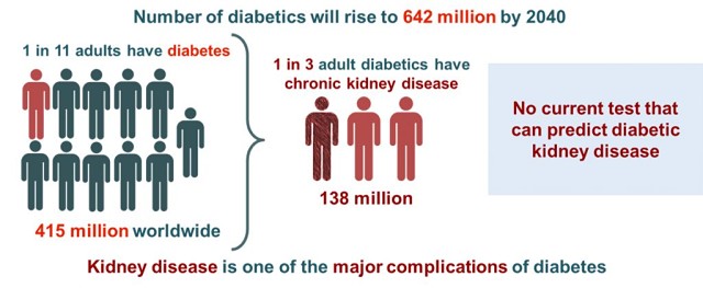 Diabetes worldwide kidney disease statistics