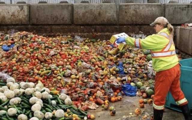 Food wastage globally CCP Technologies
