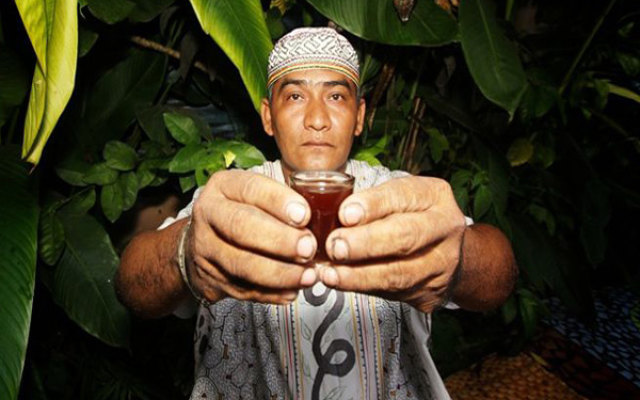 Shaman ayahuasca ceremony psychedelic research