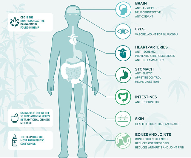 Cannabis medical health benefits for the body