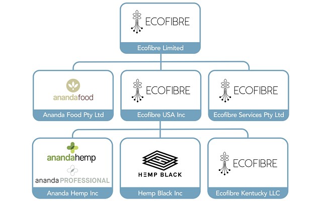 Ecofibre Hemp Black Ananda food business