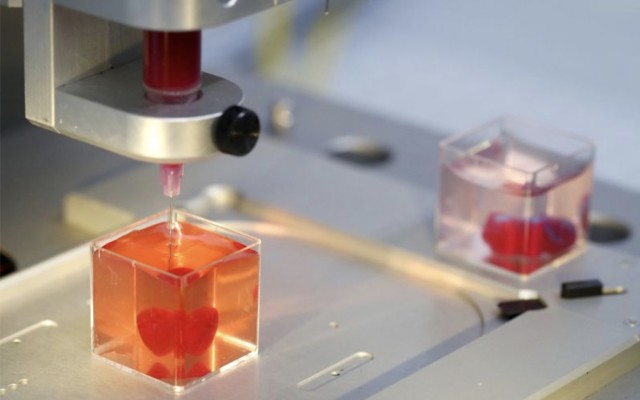 3D printed heart human tissue