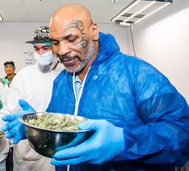 Mike Tyson holding cannabis
