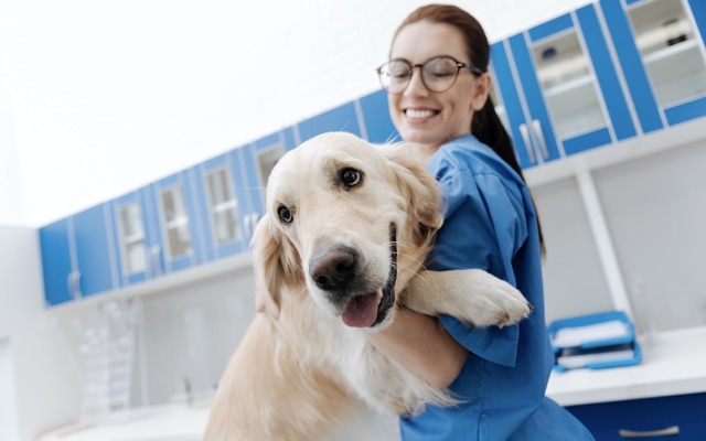 PharmAust ASX PAA Monepantel trial anti-cancer treat anive B cell lymphoma MPL tablet pet dog