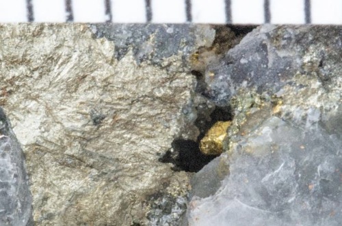 Visible free gold sulphide Crown Prince Thundelarra
